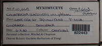 Image Associated With the Occurence